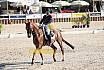 Fr S zwei Sterne Dressur