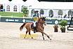 Do Youngster 7j&auml;hrig