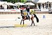 Fr S zwei Sterne Dressur