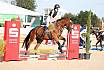Freitag Springreiterwettbewerb