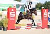 Freitag Springreiterwettbewerb