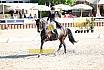 Fr S zwei Sterne Dressur