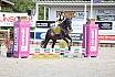 Freitag Springreiterwettbewerb