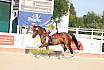 Freitag Springreiterwettbewerb