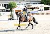 Fr S zwei Sterne Dressur