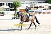 Fr S zwei Sterne Dressur