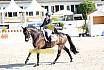 Fr S zwei Sterne Dressur