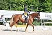 Samstag E Dressur