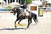 Fr S zwei Sterne Dressur