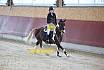 Sonntag Springreiter WB