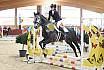 Sonntag Springreiter WB