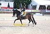 Sonntag Amateur S