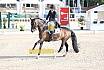 Sonntag Amateur S