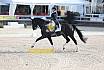 Sonntag Amateur S