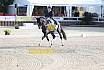 Sonntag Amateur S