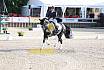 Sonntag Amateur S