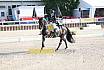 Sonntag Amateur S