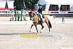 Sonntag Amateur S