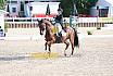 Sonntag Amateur S