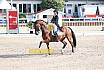 Sonntag Amateur S