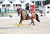 Sonntag Amateur S
