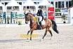 Sonntag Amateur S