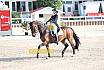 Sonntag Amateur S