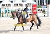 Sonntag Amateur S