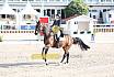 Sonntag Amateur S