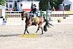 Sonntag Amateur S