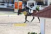 Sonntag Amateur S