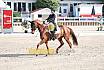Sonntag Amateur S