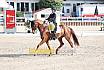 Sonntag Amateur S
