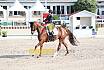 Sonntag Amateur S
