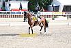 Sonntag Amateur S