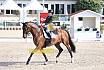 Sonntag Amateur S