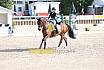 Sonntag Amateur S