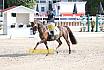 Sonntag Amateur S