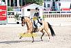 Sonntag Amateur S