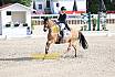 Sonntag Amateur S