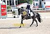 Sonntag Amateur S