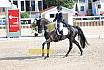 Sonntag Amateur S