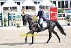 Sonntag Amateur S