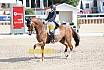 Sonntag Amateur S
