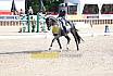 Sonntag Amateur S