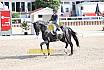 Sonntag Amateur S