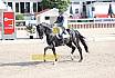 Sonntag Amateur S