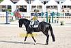 Sonntag Amateur S