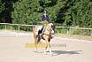 Samstag E Dressur
