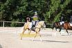Samstag E Dressur